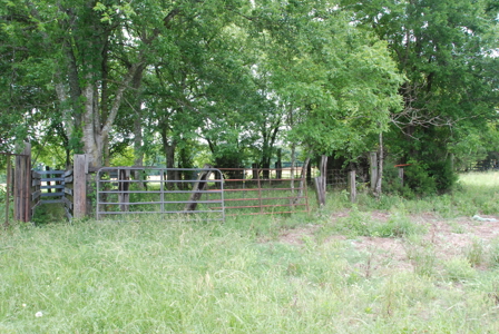East Texas Pasture Land for Sale Grand Saline TX in Smith County - image 7