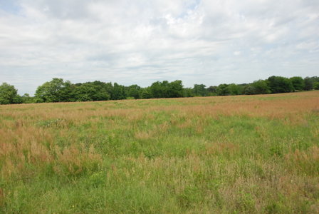 East Texas Pasture Land for Sale Grand Saline TX in Smith County - image 24