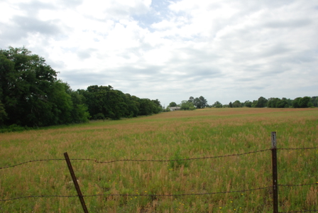 East Texas Pasture Land for Sale Grand Saline TX in Smith County - image 12