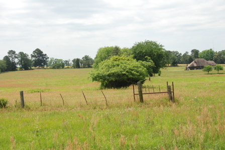 East Texas Pasture Land for Sale Grand Saline TX in Smith County - image 9