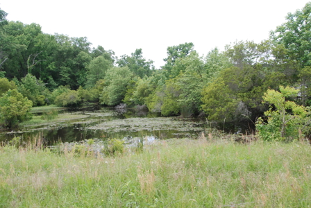 East Texas Pasture Land for Sale Grand Saline TX in Smith County - image 2