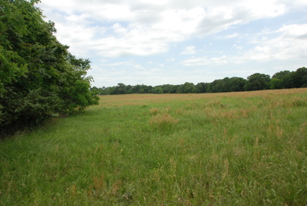 East Texas Pasture Land for Sale Grand Saline TX in Smith County - image 22