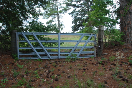 East Texas Pasture Land for Sale Grand Saline TX in Smith County - image 5