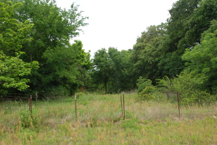 East Texas Pasture Land for Sale Grand Saline TX in Smith County - image 13