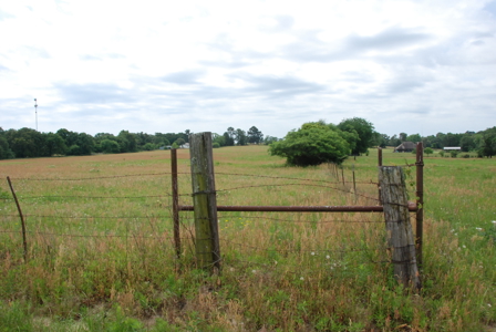 East Texas Pasture Land for Sale Grand Saline TX in Smith County - image 8