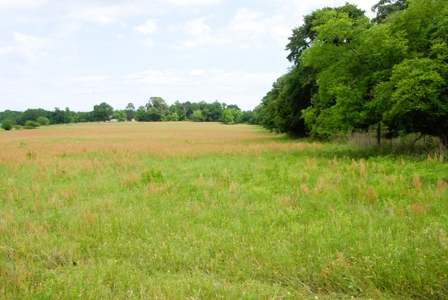 East Texas Pasture Land for Sale Grand Saline TX in Smith County - image 23