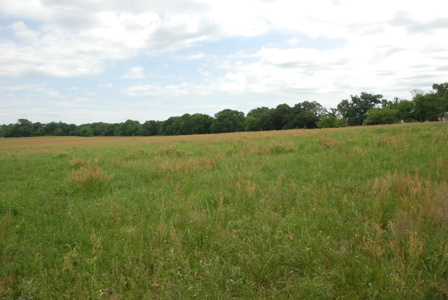 East Texas Pasture Land for Sale Grand Saline TX in Smith County - image 25
