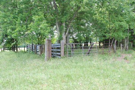 East Texas Pasture Land for Sale Grand Saline TX in Smith County - image 6