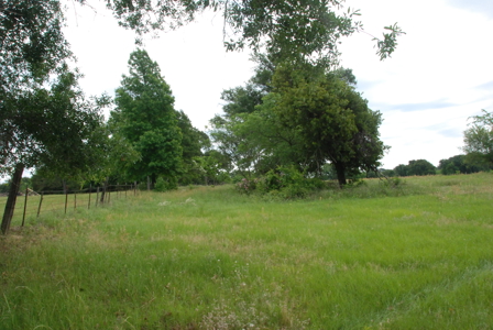 East Texas Pasture Land for Sale Grand Saline TX in Smith County - image 15