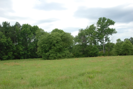 East Texas Pasture Land for Sale Grand Saline TX in Smith County - image 18