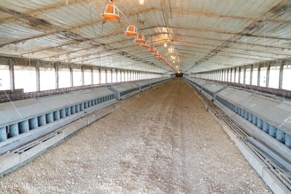 Carthage MS Turnkey 5-House Breeder Poultry Farm