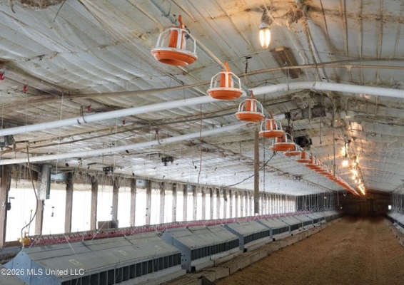 Carthage MS Turnkey 5-House Breeder Poultry Farm