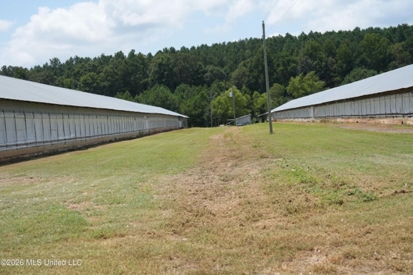 Carthage MS Turnkey 5-House Breeder Poultry Farm