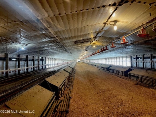 Carthage MS Turnkey 5-House Breeder Poultry Farm