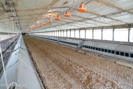 Carthage MS Turnkey 5-House Breeder Poultry Farm - image 34