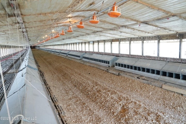 Carthage MS Turnkey 5-House Breeder Poultry Farm