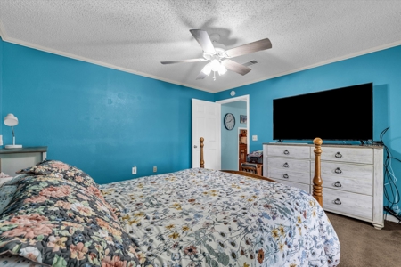 Bosque County Country Home For Sale - image 19