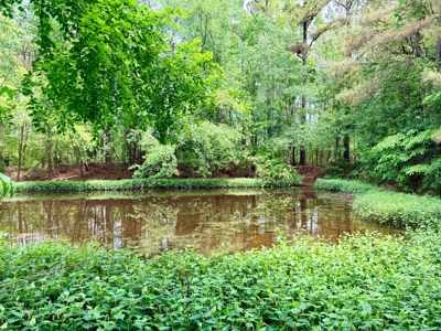 Land with a Pond and Building Site Prentiss Co., Mississippi - image 7