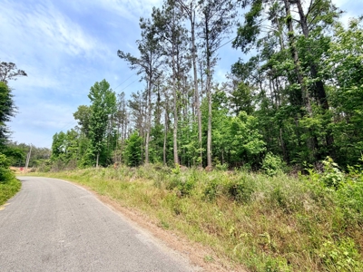 Land with a Pond and Building Site Prentiss Co., Mississippi - image 3