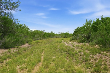 Frio River Area Acreage / No Restrictions & Multiple Access Point - image 4