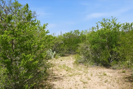 Frio River Area Acreage / No Restrictions & Multiple Access Point - image 2