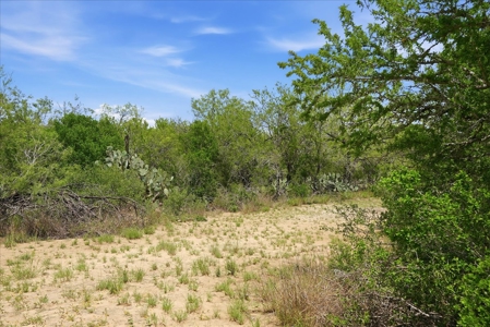 Frio River Area Acreage / No Restrictions & Multiple Access Point - image 7