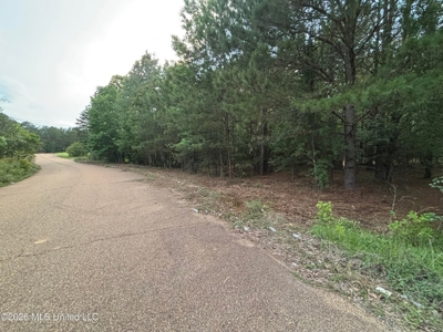 4 Acres for Sale Brookwood Estates Byram MS Hinds County - image 2