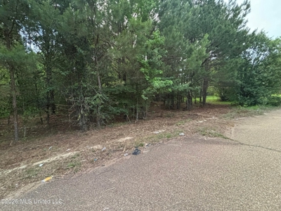 4 Acres for Sale Brookwood Estates Byram MS Hinds County - image 4