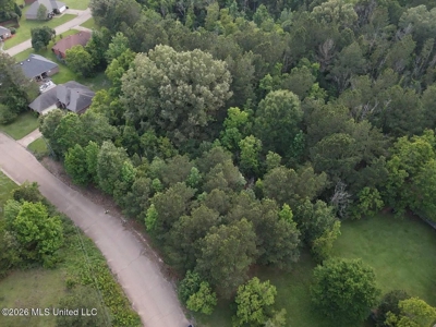 4 Acres for Sale Brookwood Estates Byram MS Hinds County - image 6