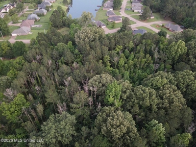 4 Acres for Sale Brookwood Estates Byram MS Hinds County - image 11