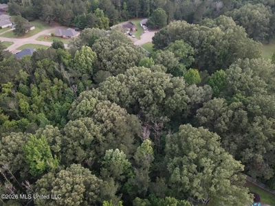 4 Acres for Sale Brookwood Estates Byram MS Hinds County - image 12
