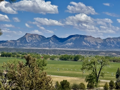 Country Home for Sale in Dolores, Colorado - image 43