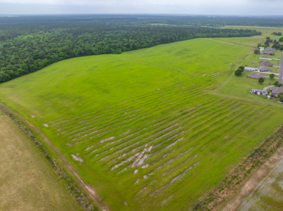 Large Rice and Crawfish Farm in Kinder, LA. - image 13