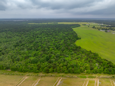 Large Rice and Crawfish Farm in Kinder, LA. - image 14