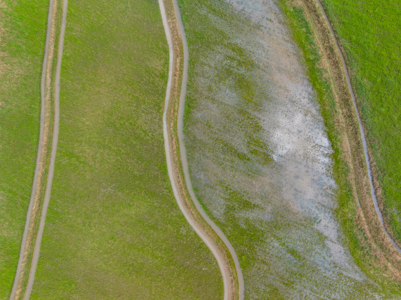 Large Rice and Crawfish Farm in Kinder, LA. - image 27