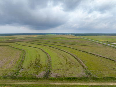 Large Rice and Crawfish Farm in Kinder, LA. - image 26