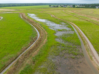 Large Rice and Crawfish Farm in Kinder, LA. - image 10