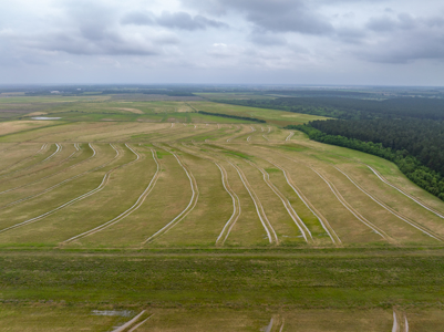 Large Rice and Crawfish Farm in Kinder, LA. - image 28