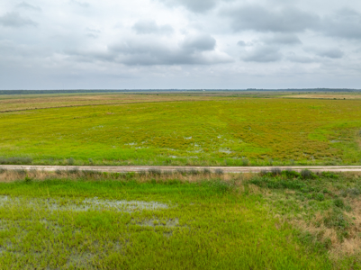 Large Rice and Crawfish Farm in Kinder, LA. - image 18