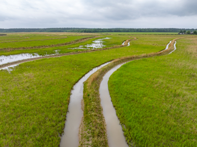 Large Rice and Crawfish Farm in Kinder, LA. - image 9