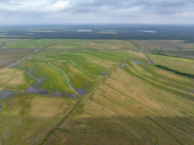 Large Rice and Crawfish Farm in Kinder, LA. - image 2