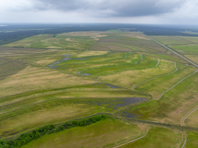 Large Rice and Crawfish Farm in Kinder, LA. - image 3