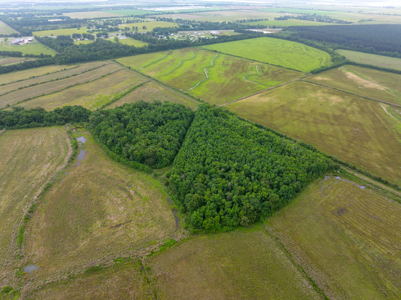 Large Rice and Crawfish Farm in Kinder, LA. - image 30