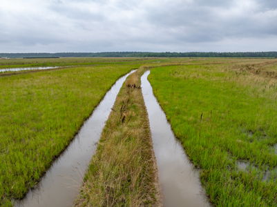 Large Rice and Crawfish Farm in Kinder, LA. - image 8