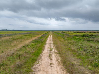 Large Rice and Crawfish Farm in Kinder, LA. - image 25
