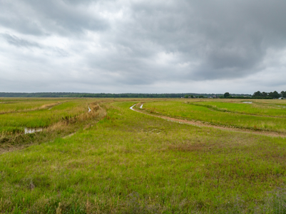 Large Rice and Crawfish Farm in Kinder, LA. - image 7