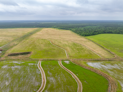 Large Rice and Crawfish Farm in Kinder, LA. - image 12