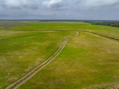 Large Rice and Crawfish Farm in Kinder, LA. - image 29