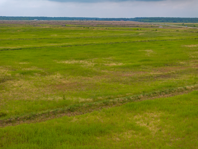 Large Rice and Crawfish Farm in Kinder, LA. - image 6