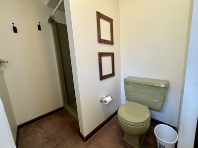 Arkansas Home And Land For Sale In North Central Arkansas - image 19